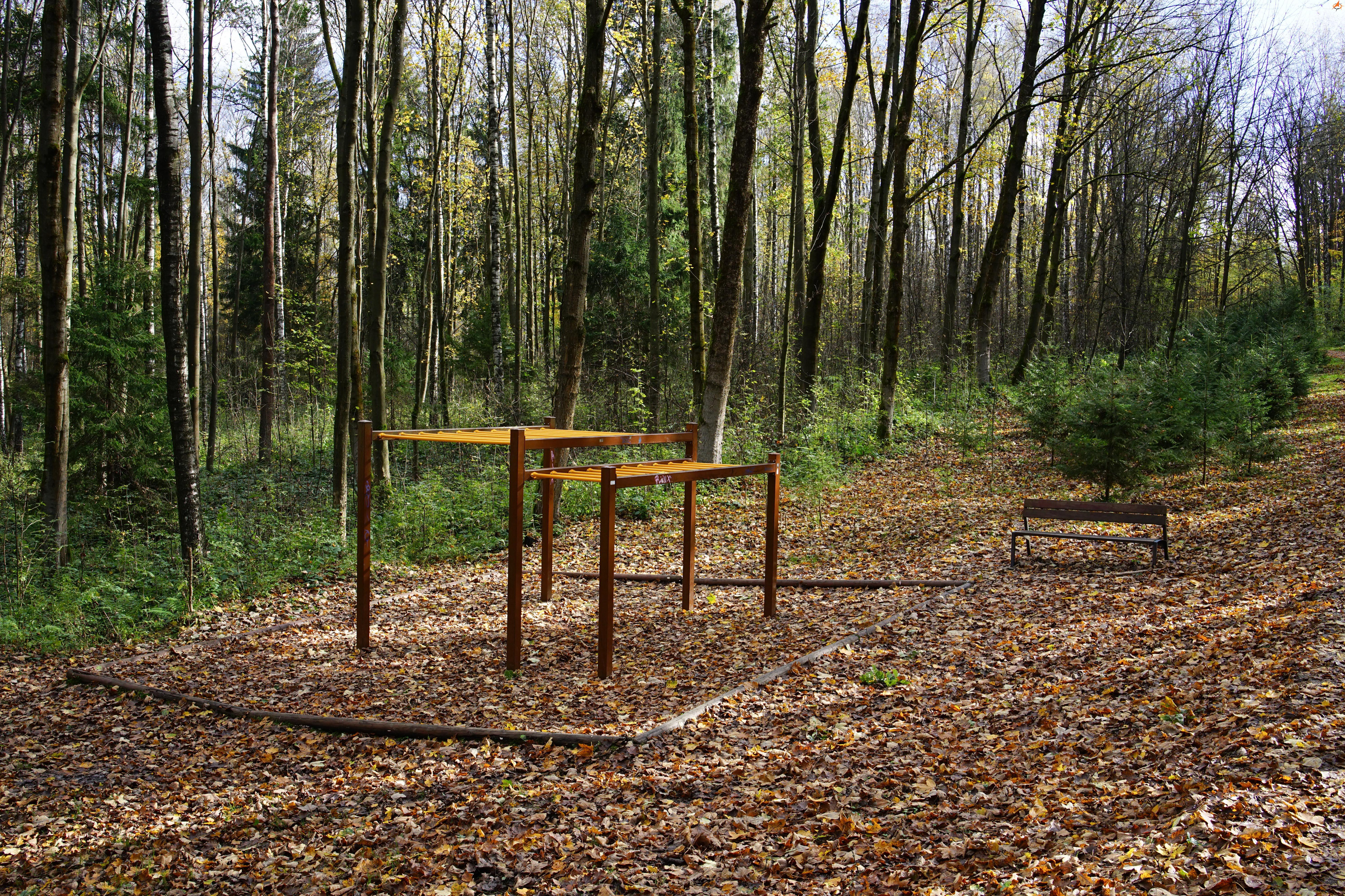 Ścieżkę przez park leśny uzupełnia kilka drewnianych instrumentów sportowych w niezakłócającym otoczeniu.