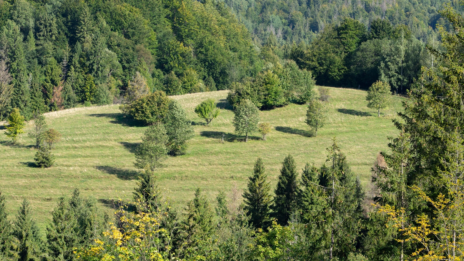 Lutiše and surroundings